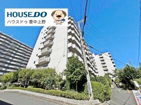 概観画像