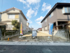 概観画像