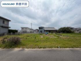 概観画像