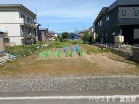 概観画像