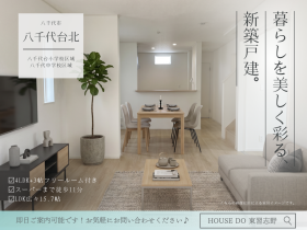 概観画像