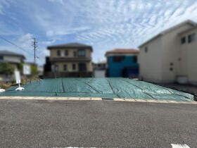 概観画像