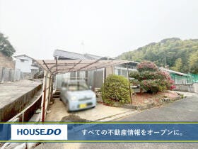 概観画像
