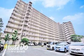 概観画像