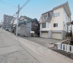 概観画像