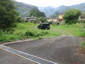 概観画像