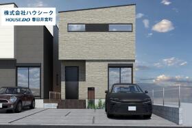 概観画像