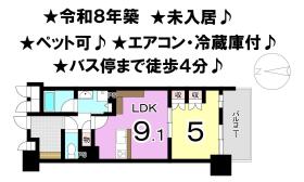 松山市道後北代
