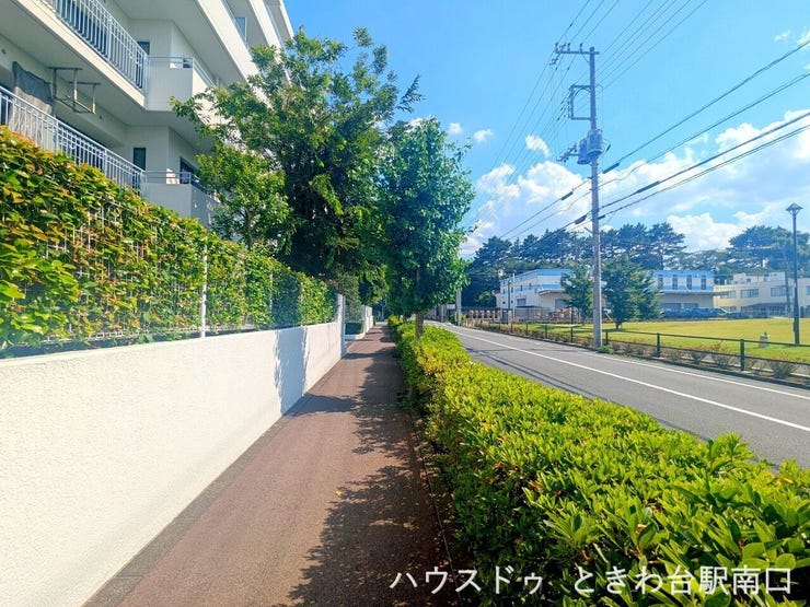 敷地前の歩道は緑に囲まれ、交通量も少なく穏やかな住環境。向かいは城北中央公園茂呂広場。