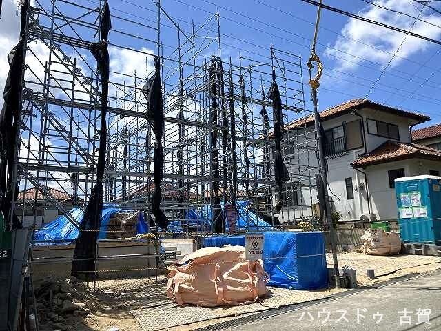 R08年、7月下旬撮影