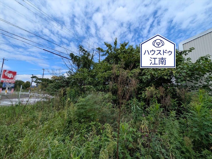 2026/9/12撮影