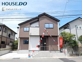 概観画像