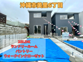 概観画像