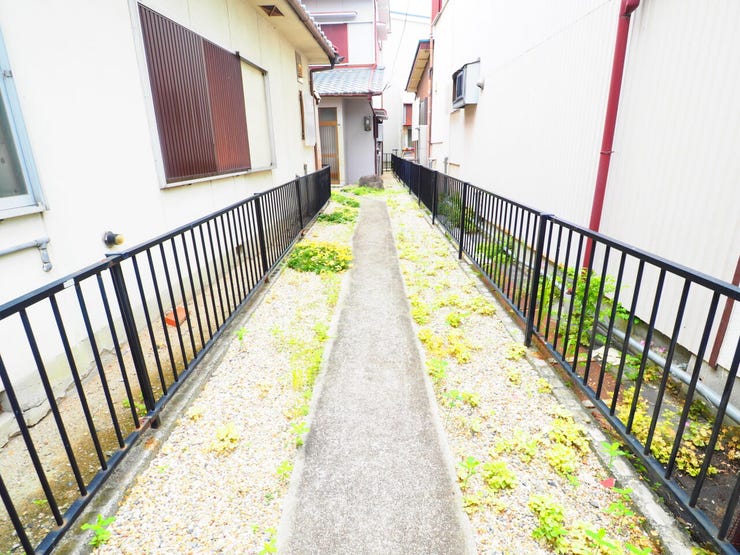 現地写真(2026.6.22)