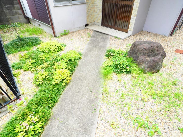 現地写真(2026.6.22)