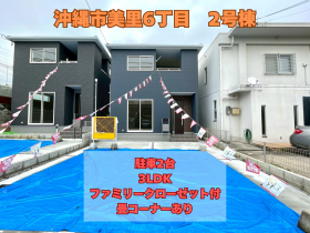 概観画像