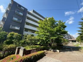 概観画像