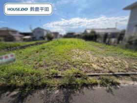 概観画像