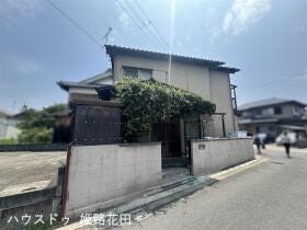 概観画像