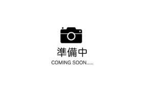 概観画像
