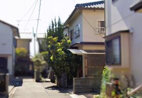 概観画像