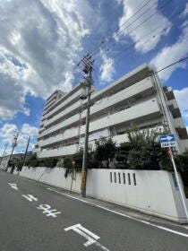 概観画像