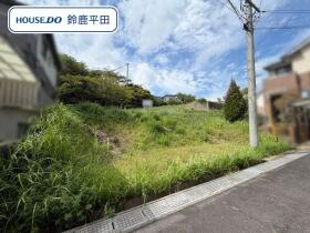 概観画像