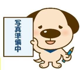 概観画像