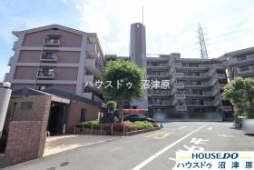概観画像