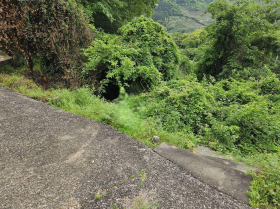 有田郡有田川町大字歓喜寺