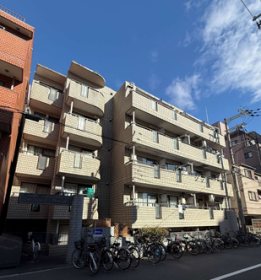 概観画像