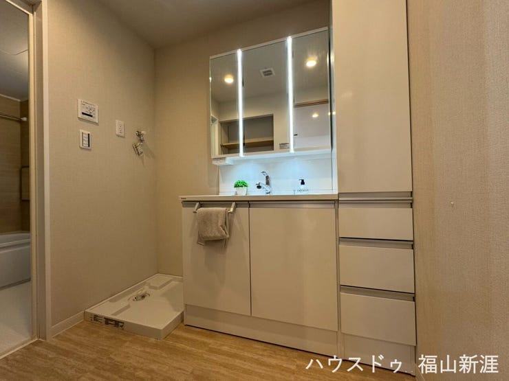 鏡の後ろにも収納できます。背の高い詰め替えも収納可能です。