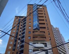 概観画像