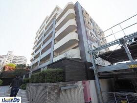 概観画像