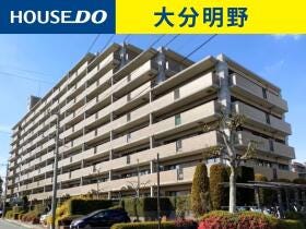 概観画像