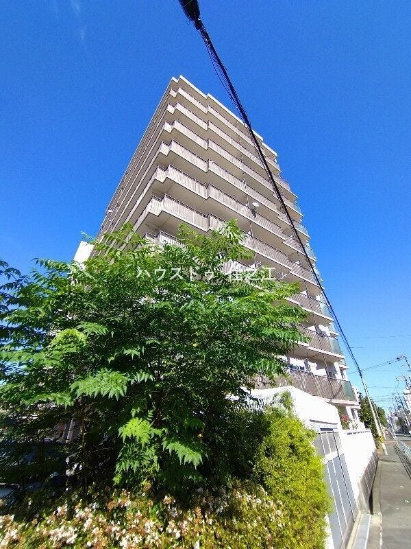 ★マンション内の敷地。植栽も多くあり緑豊かです♪