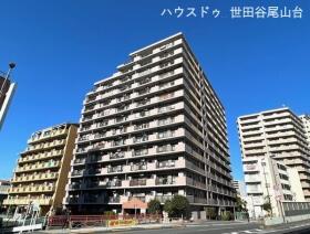 概観画像