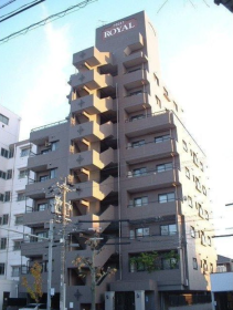 概観画像