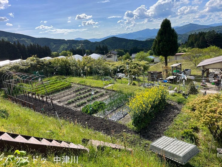 敷地内の畑