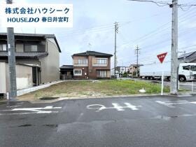 概観画像