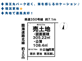 概観画像
