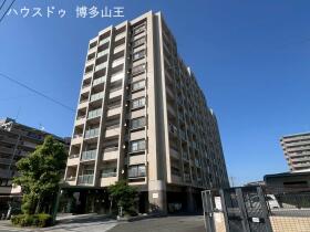 概観画像