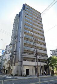 概観画像