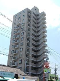 概観画像