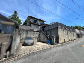概観画像