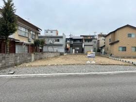 概観画像