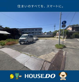 概観画像