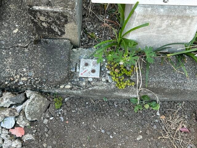 ★はりまや橋小学校区★