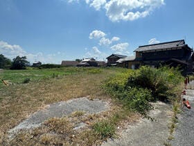 概観画像