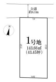 概観画像